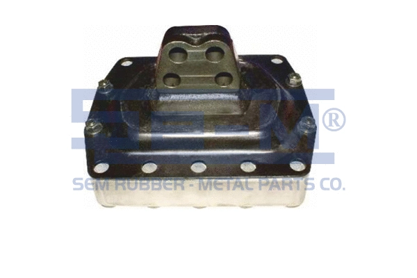 Mounting, engine (8344)