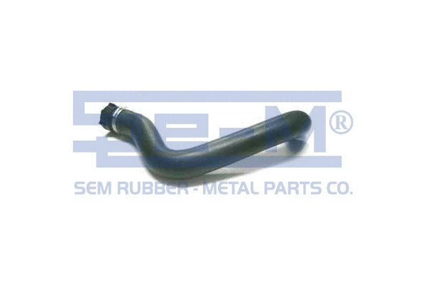 Radiator Hose (10594)