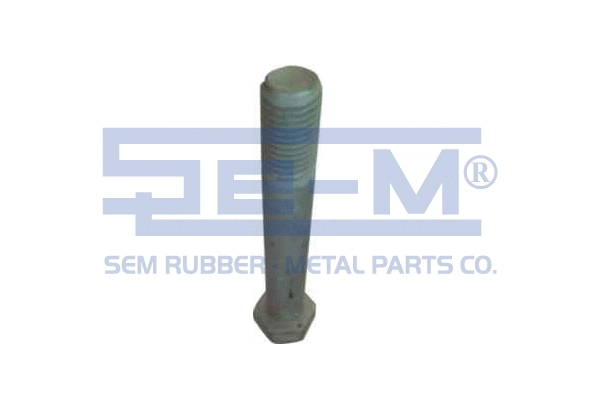 Screw (10270)