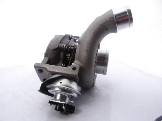 Charger, charging (supercharged/turbocharged) (717410-5007S)