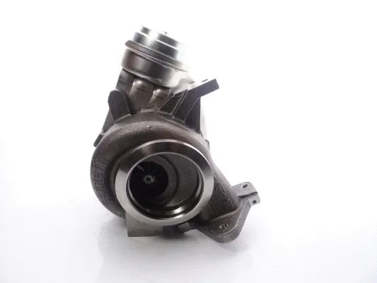 Charger, charging (supercharged/turbocharged) (709835-5003S)