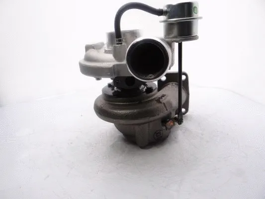 Charger, charging (supercharged/turbocharged)