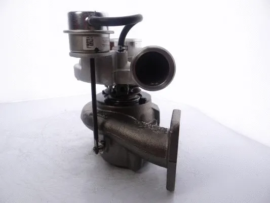 Charger, charging (supercharged/turbocharged)