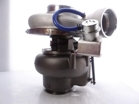 Charger, charging (supercharged/turbocharged)