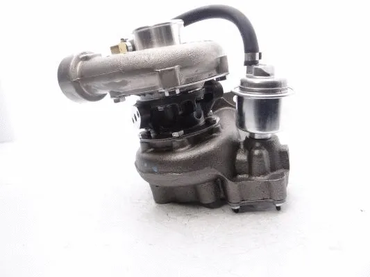 Charger, charging (supercharged/turbocharged)