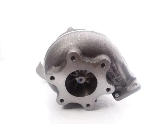 Charger, charging (supercharged/turbocharged) (466214-5036S)