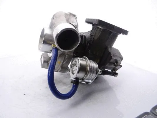 Charger, charging (supercharged/turbocharged)