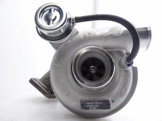 Charger, charging (supercharged/turbocharged)