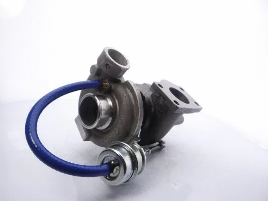 Charger, charging (supercharged/turbocharged)