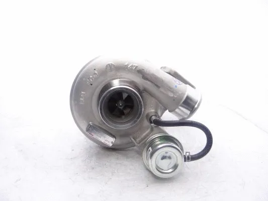 Charger, charging (supercharged/turbocharged)