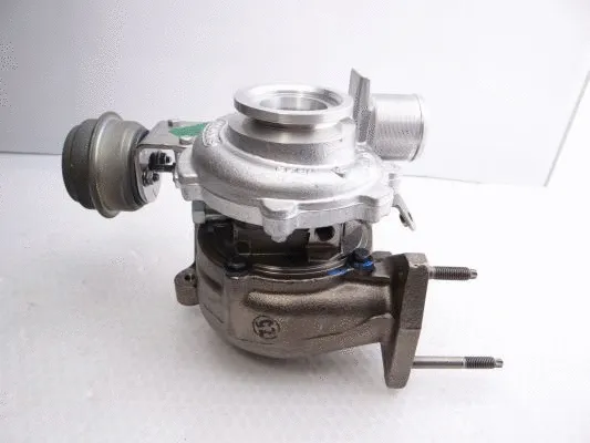 Charger, charging (supercharged/turbocharged) (761618-5004S)