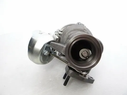 Charger, charging (supercharged/turbocharged) (788778-5003S)