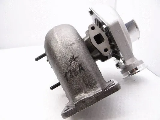 Charger, charging (supercharged/turbocharged) (465366-5001S)