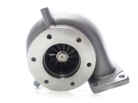 Charger, charging (supercharged/turbocharged) (798489-5001S)