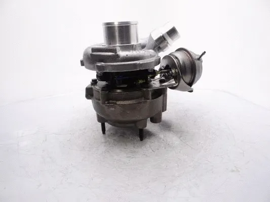 Charger, charging (supercharged/turbocharged)