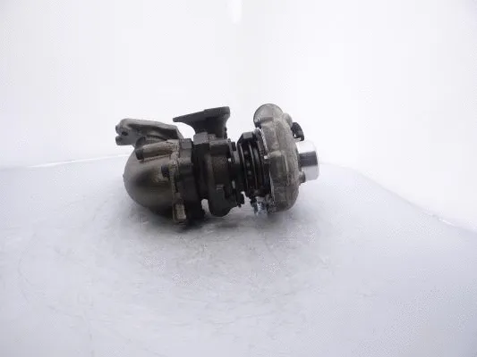 Charger, charging (supercharged/turbocharged) (454092-5001S)