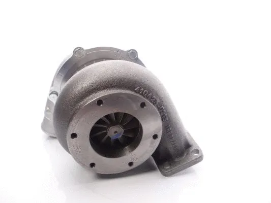 Charger, charging (supercharged/turbocharged) (466742-5013S)