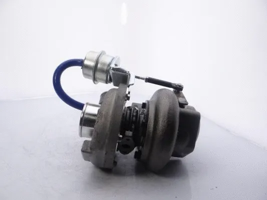 Charger, charging (supercharged/turbocharged)