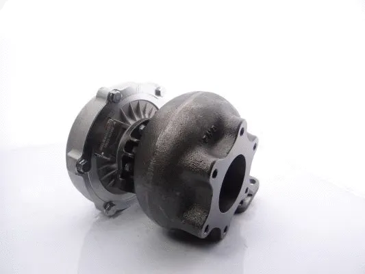 Charger, charging (supercharged/turbocharged) (466214-5019S)