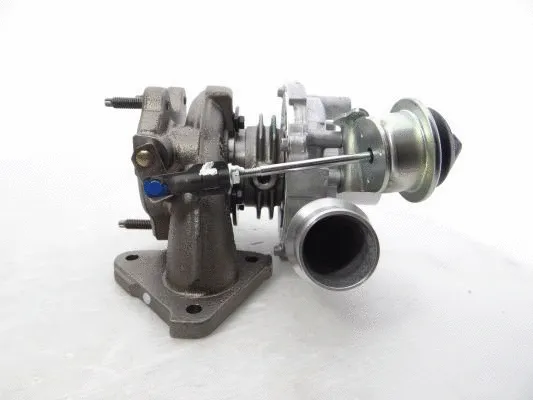 Charger, charging (supercharged/turbocharged)