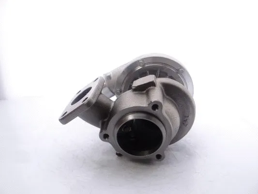 Charger, charging (supercharged/turbocharged) (711736-5002S)