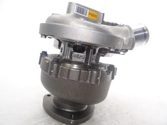 Charger, charging (supercharged/turbocharged)