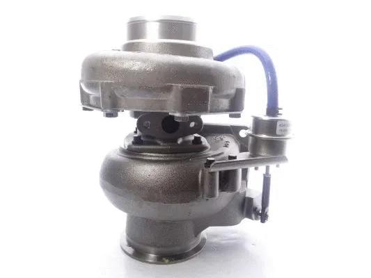 Charger, charging (supercharged/turbocharged)