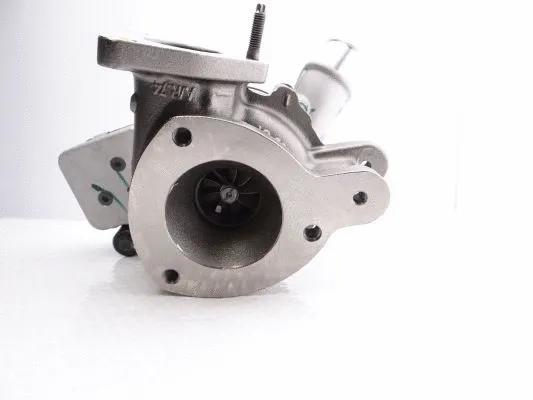 Charger, charging (supercharged/turbocharged)