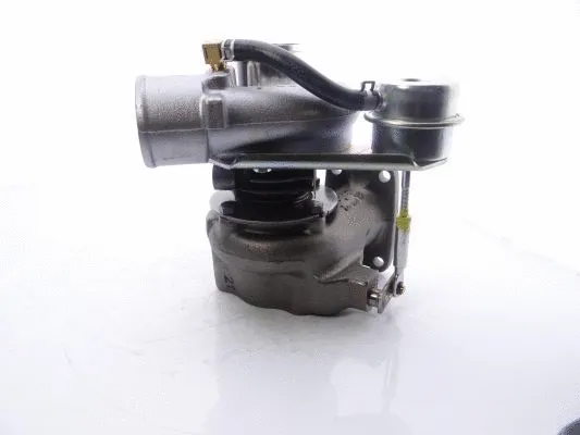 Charger, charging (supercharged/turbocharged)