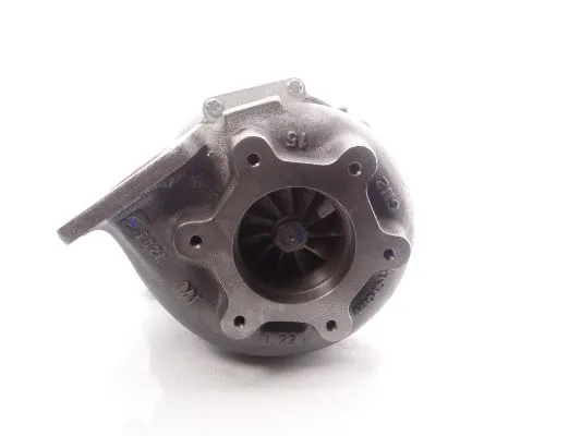 Charger, charging (supercharged/turbocharged) (466502-5005S)