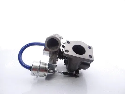 Charger, charging (supercharged/turbocharged)