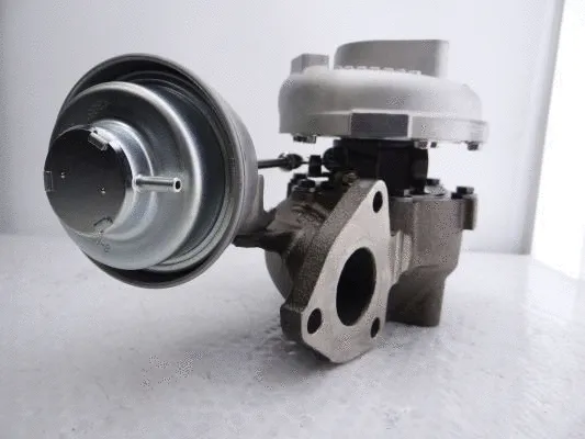 Charger, charging (supercharged/turbocharged) (802014-5001S)