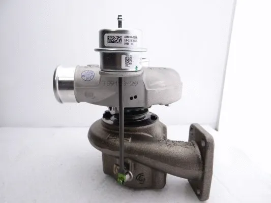 Charger, charging (supercharged/turbocharged)