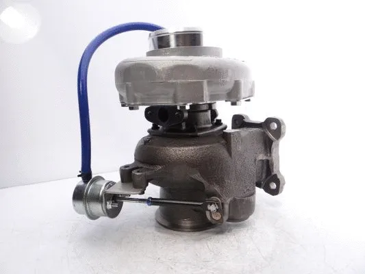 Charger, charging (supercharged/turbocharged)