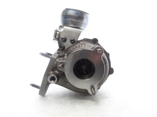 Charger, charging (supercharged/turbocharged) (790179-5002S)