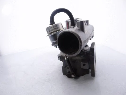 Charger, charging (supercharged/turbocharged)