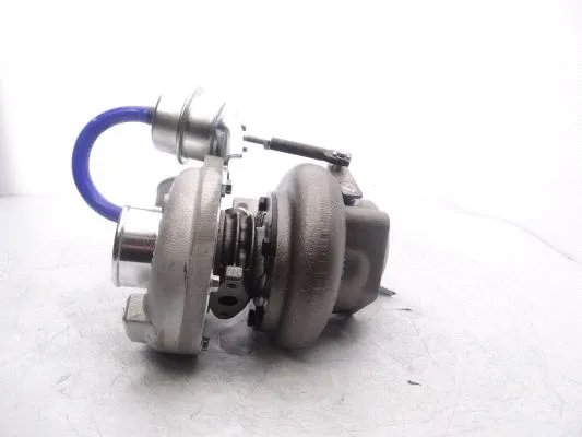 Charger, charging (supercharged/turbocharged)