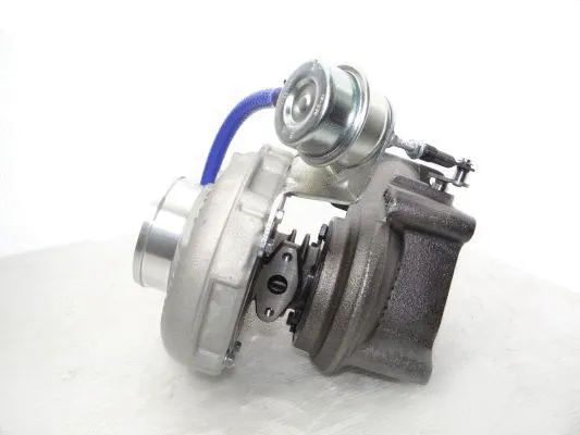 Charger, charging (supercharged/turbocharged)