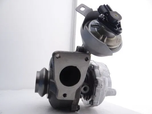 Charger, charging (supercharged/turbocharged) (782053-5001S)