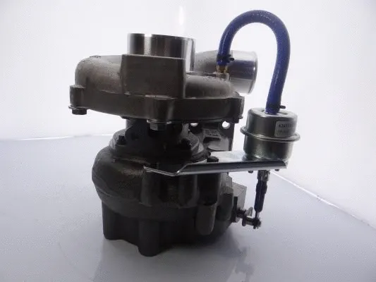 Charger, charging (supercharged/turbocharged)