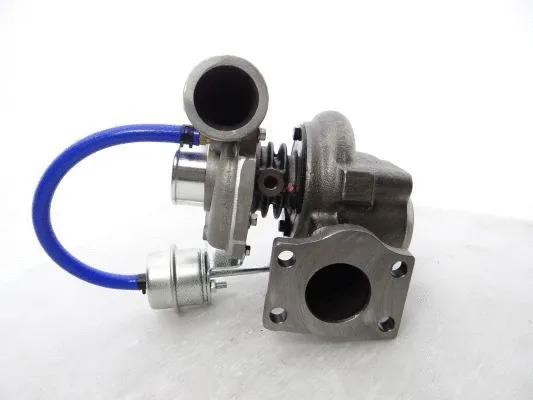 Charger, charging (supercharged/turbocharged)