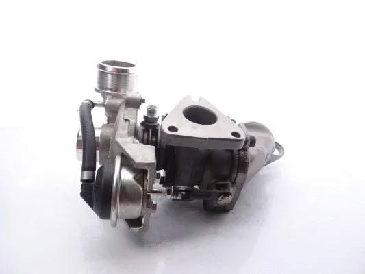 Charger, charging (supercharged/turbocharged)