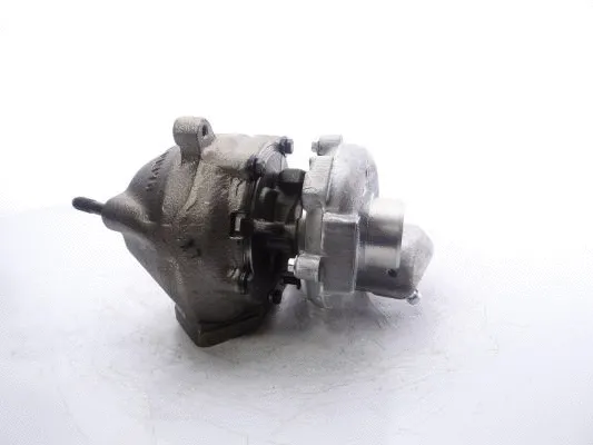 Charger, charging (supercharged/turbocharged) (740911-5007S)