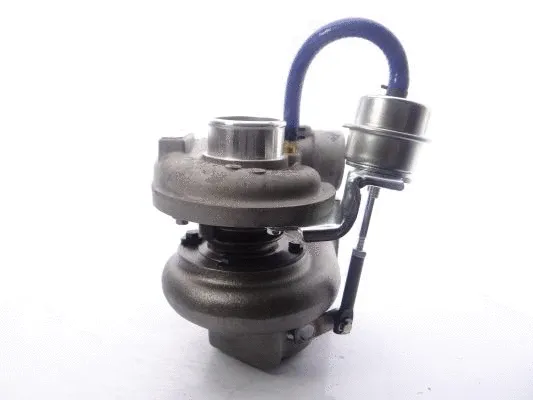 Charger, charging (supercharged/turbocharged)