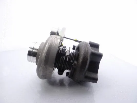 Charger, charging (supercharged/turbocharged) (466974-5010S)