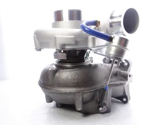 Charger, charging (supercharged/turbocharged)