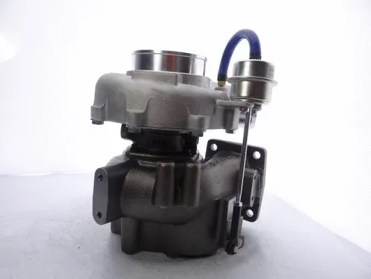 Charger, charging (supercharged/turbocharged)