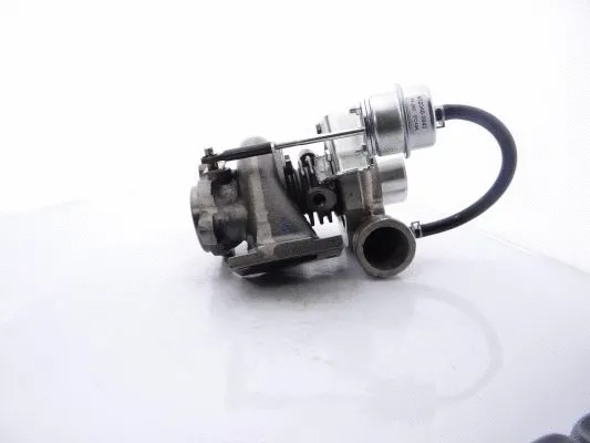 Charger, charging (supercharged/turbocharged)