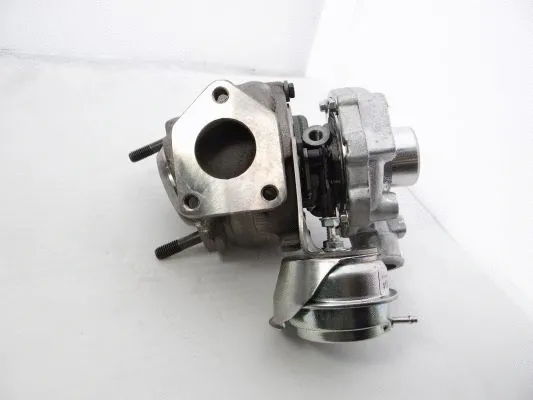 Charger, charging (supercharged/turbocharged) (700447-5009S)