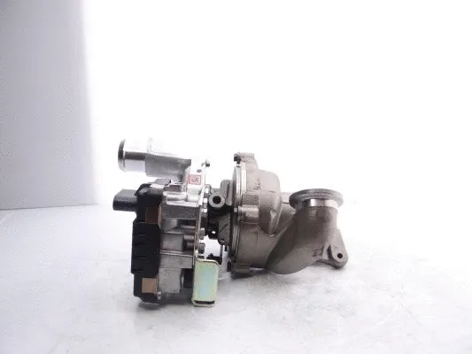 Charger, charging (supercharged/turbocharged) (763647-5021W)